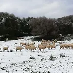La Rocca Manna Farma *