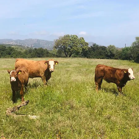 Alloggio per agriturismo La Rocca Manna