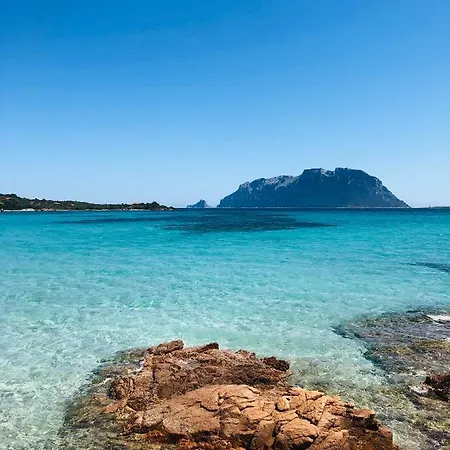 Lantgård La Rocca Manna San Teodoro (Sardinia)